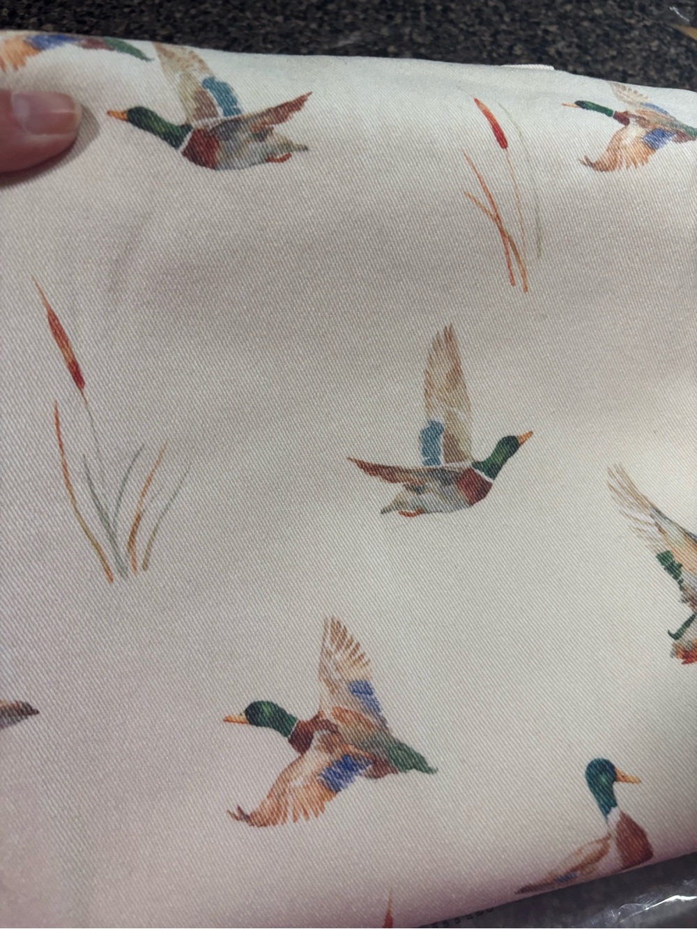 High-Rise Cream Mallard Jeans - Picture 4 of 4